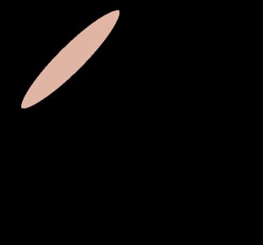 Jambon cru pendant la grossesse — recommandations alimentaires