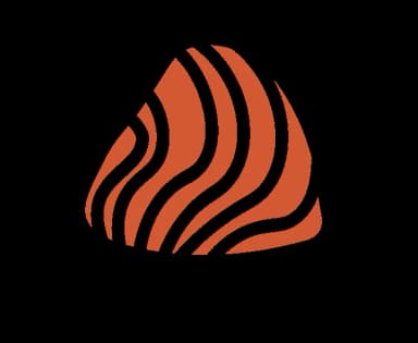 Thon pendant la grossesse — recommandations alimentaires