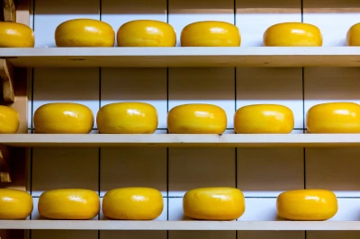 gouda cheeses on shelves